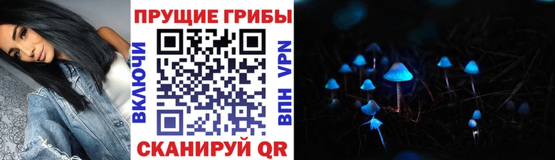 Галлюциногенные грибы Magic Shrooms  где найти наркотики  Котельнич 